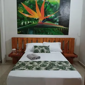  Guest house El Jardin